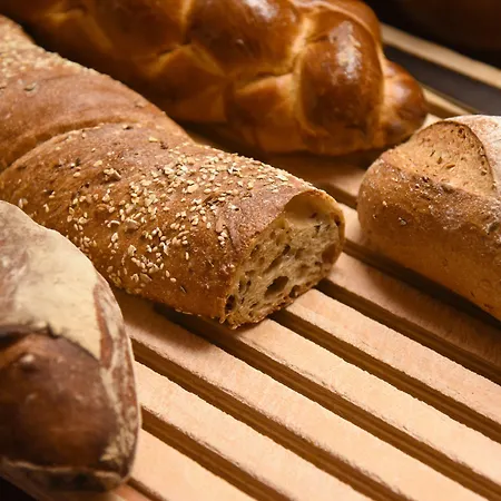 Elite Hotel Lausanne